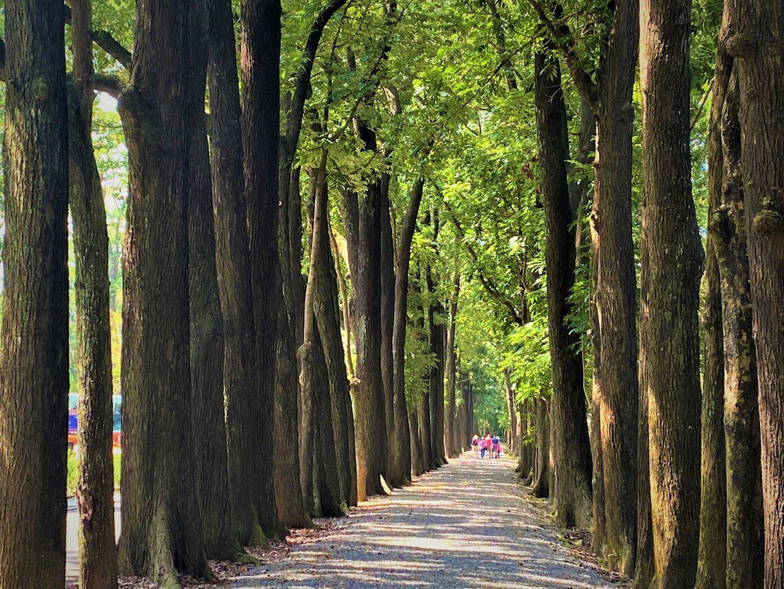 漾新聞|茂管處邀您FUN遊高屏清涼呷冰 漾新聞|茂管處邀您FUN遊高屏清涼呷冰