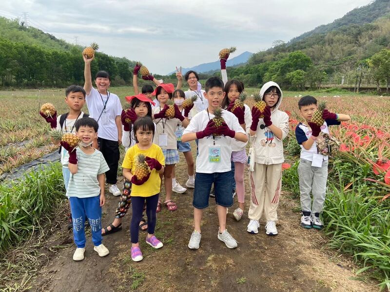 屏東「不老玩家」郵輪巴士環教遊程開放報名 樂齡族免費體驗185沿山之美