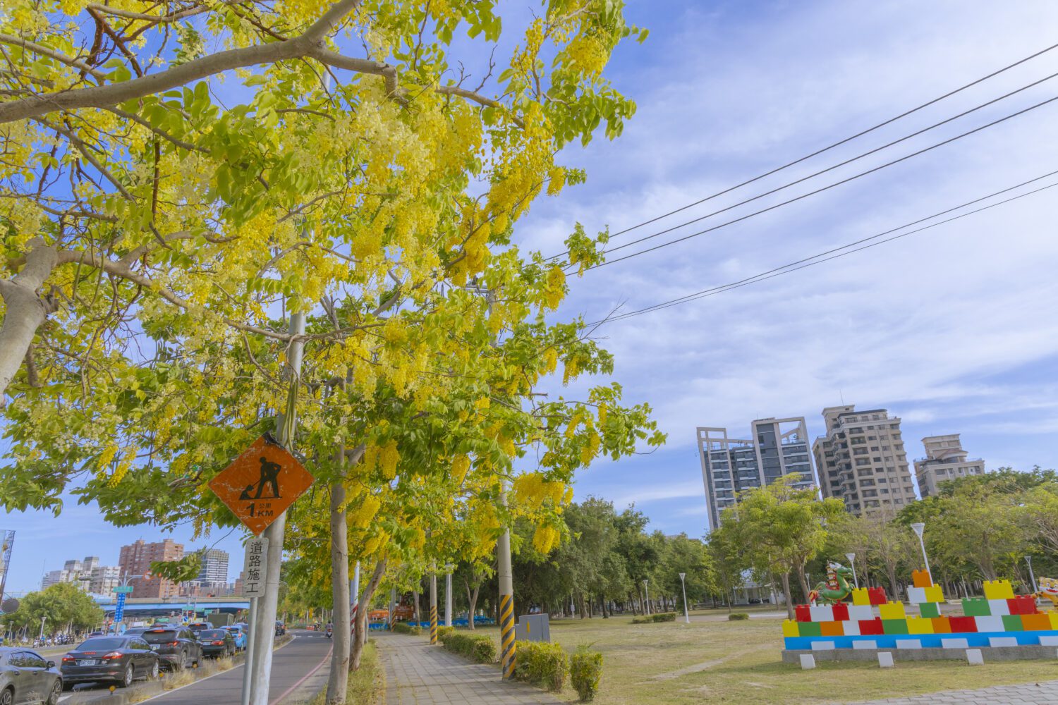 黃花搖曳迎初夏 阿勃勒港都漂亮綻放 黃花搖曳迎初夏 阿勃勒港都漂亮綻放