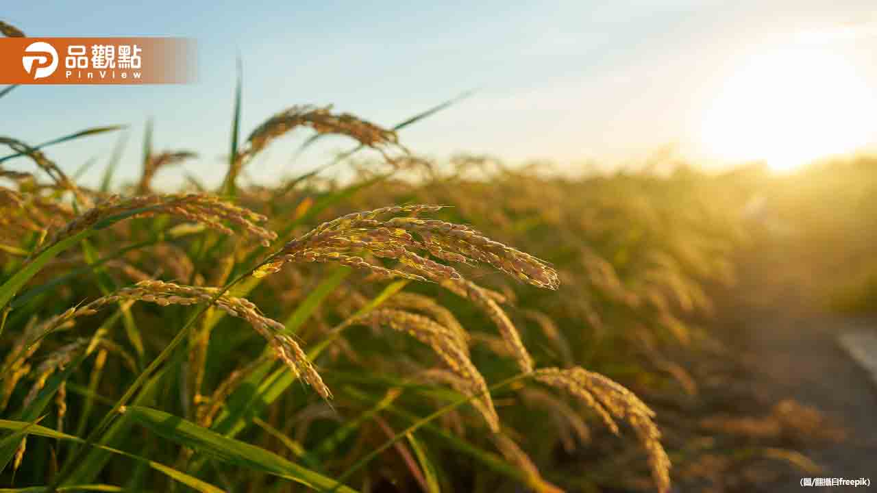 節氣「芒種」到!3生肖財運暴漲 記得做1件事 節氣「芒種」到!3生肖財運暴漲 記得做1件事