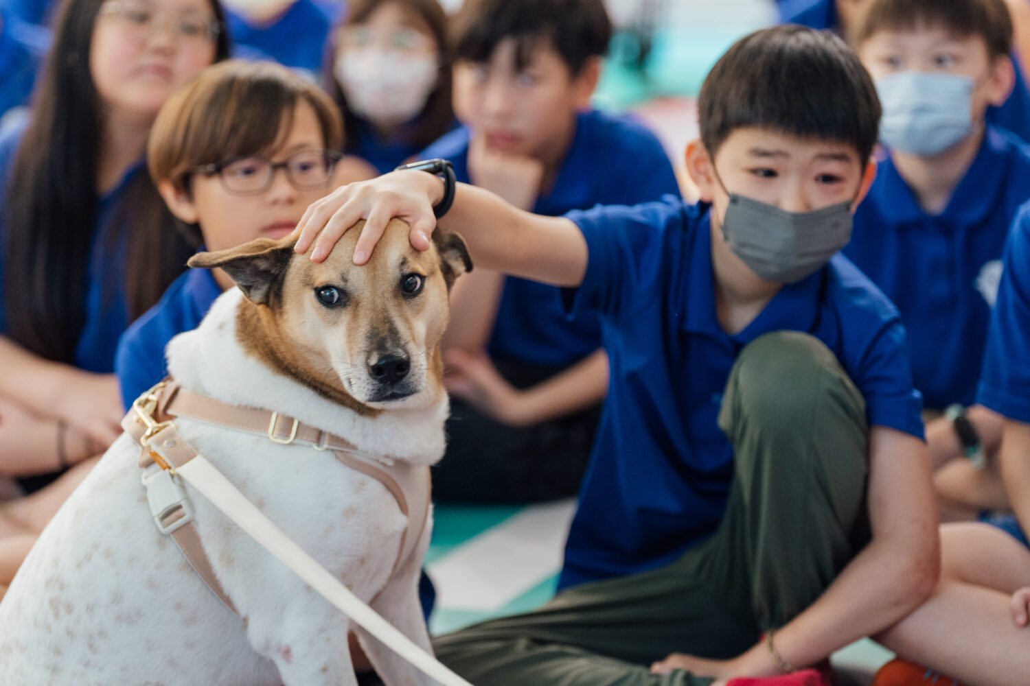 高市圖寵物伴讀×人本交通遊戲坊來囉! 6/28毛孩家庭交通體驗課趕快報名! 高市圖寵物伴讀×人本交通遊戲坊來囉! 6/28毛孩家庭交通體驗課趕快報名!