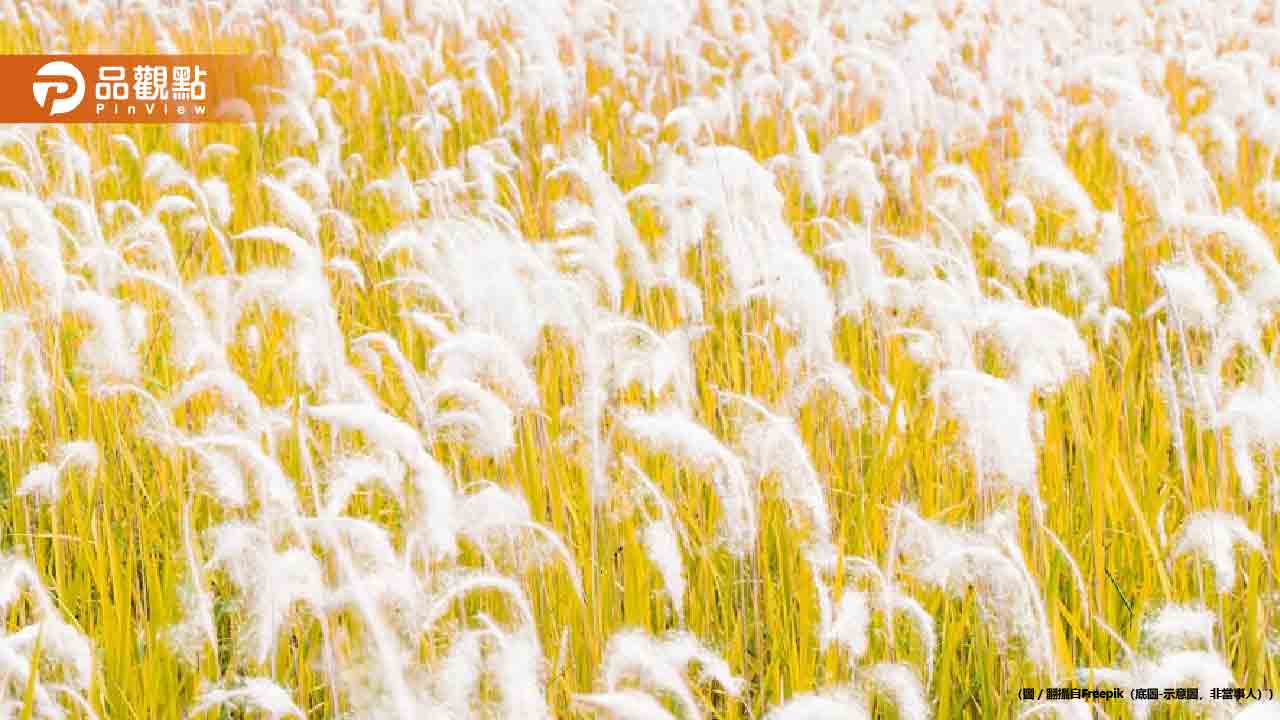 節氣芒種到來！5生肖大翻身 專家推3招轉運法