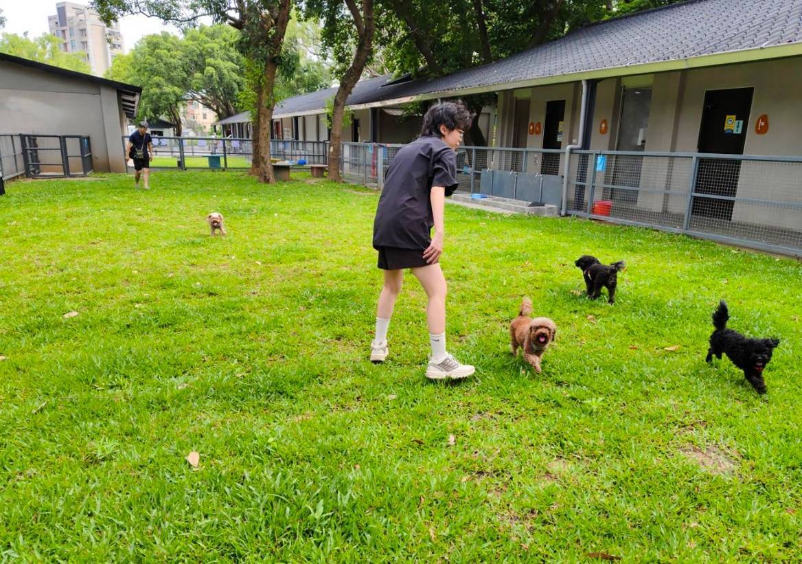 桃園打造友善毛孩城市獲好評 全台首座公立寵物游泳池這時開放