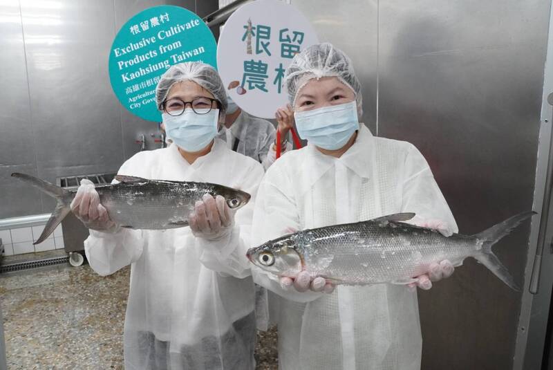 樹科大攜手漁村推出鱸魚料理包 助力漁產加工行銷升級 樹科大攜手漁村推出鱸魚料理包 助力漁產加工行銷升級