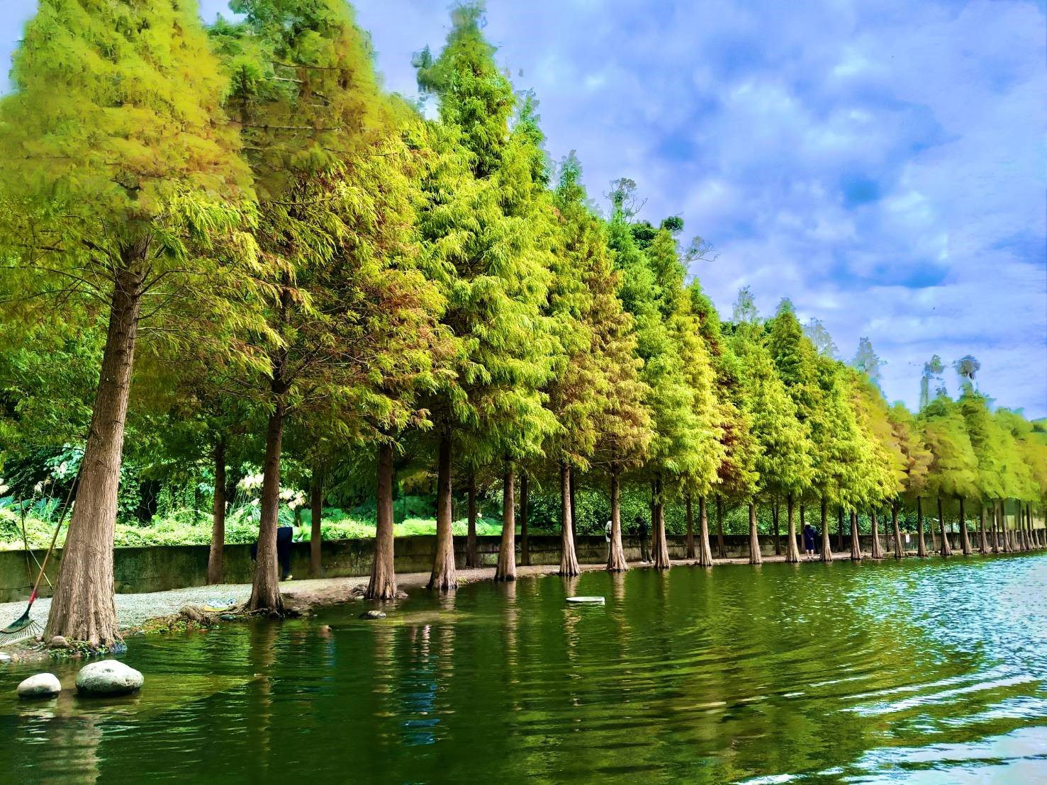 大溪水資中心變身親子遊樂場 邀你暑假來場綠色學習之旅