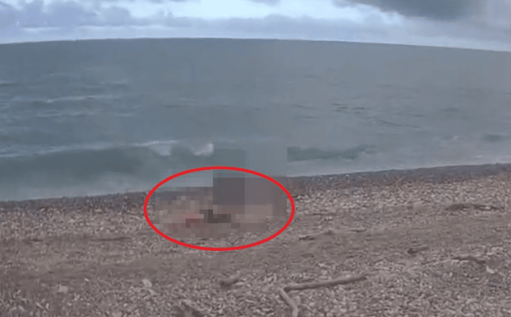 花蓮太平洋公園兇殺案！　女子遭毆打拖入海中溺斃