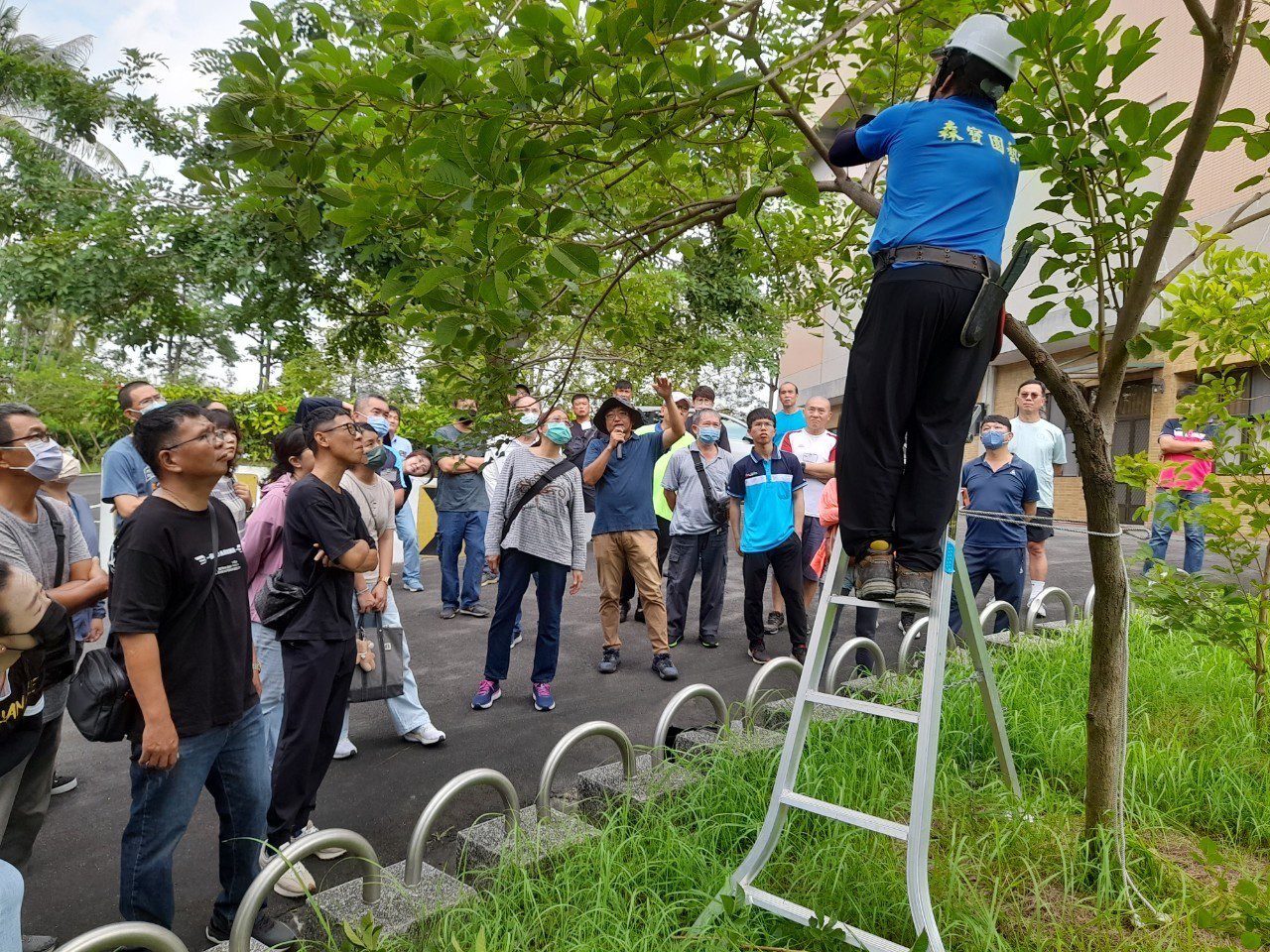 高雄市114年景觀樹木修剪技術與監看課程開課了