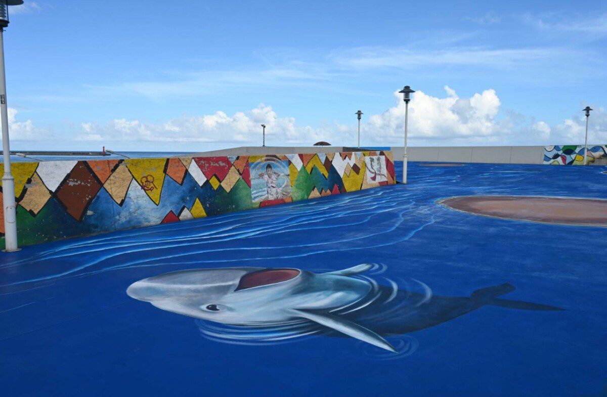 縣長徐榛蔚會勘太平洋公園各項設施工程 步道 休憩景觀全面升級10月蛻變 縣長徐榛蔚會勘太平洋公園各項設施工程 步道 休憩景觀全面升級10月蛻變