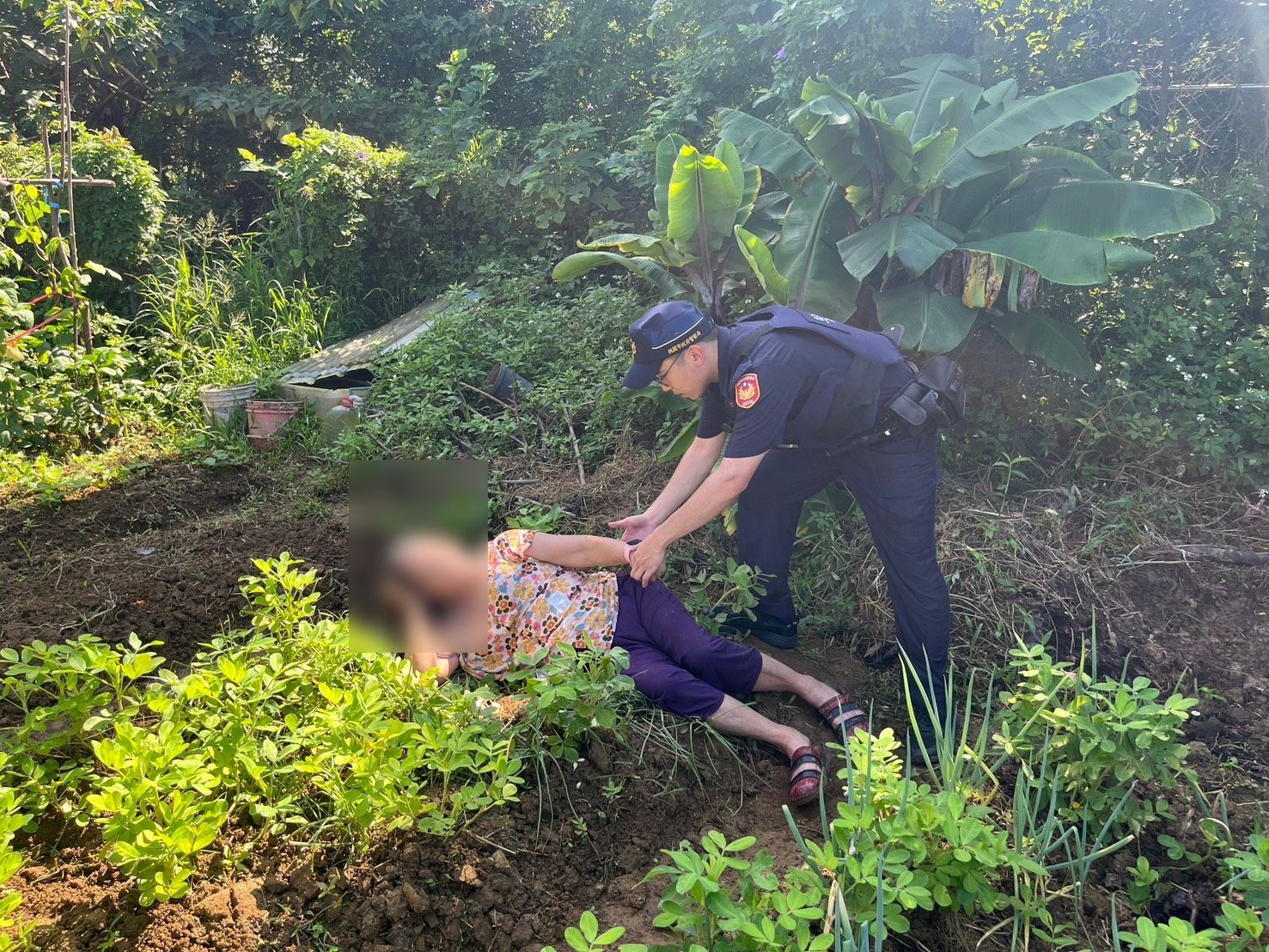 平鎮7旬嬤失蹤一夜 倒臥田埂間被尋獲 平鎮7旬嬤失蹤一夜 倒臥田埂間被尋獲