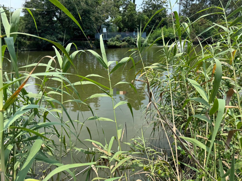 快訊/台南巴克禮公園驚傳浮屍!高齡婦陳屍水池 民眾嚇壞急報警 快訊/台南巴克禮公園驚傳浮屍!高齡婦陳屍水池 民眾嚇壞急報警