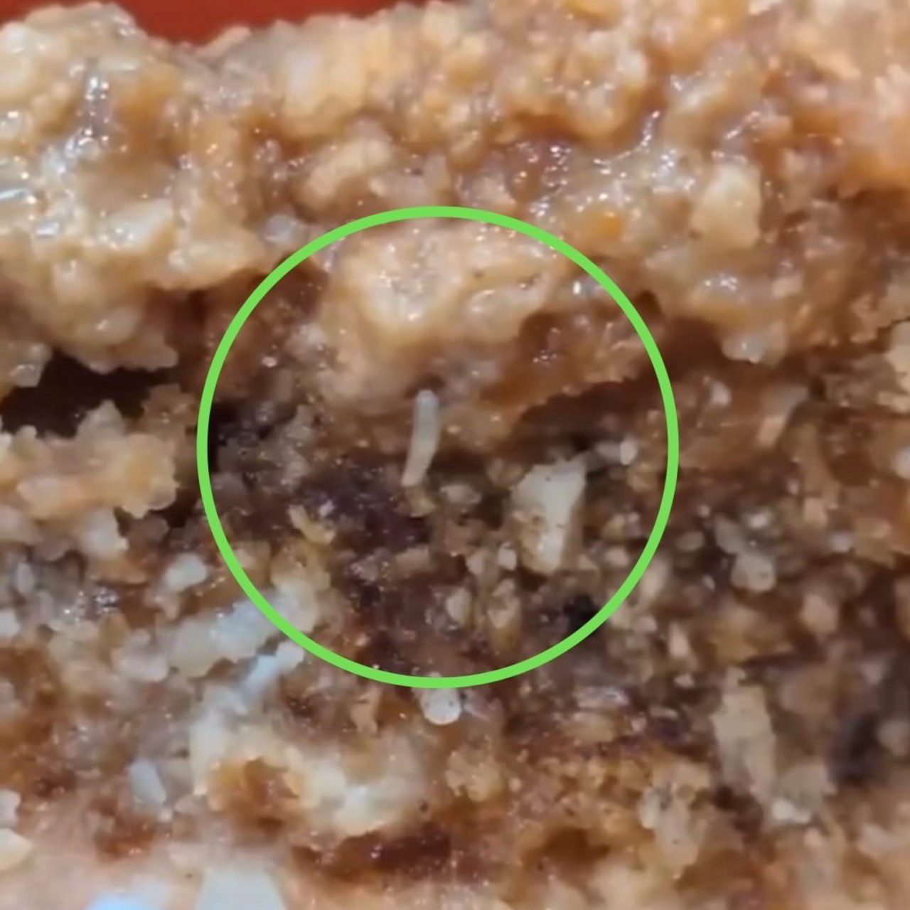 科技廠團膳驚見蛆蟲照曝光 員工爆料:已反應過多次 科技廠團膳驚見蛆蟲照曝光 員工爆料:已反應過多次