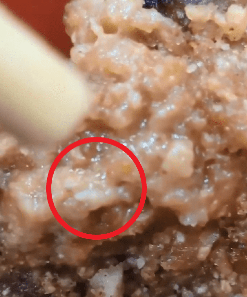 爆料/桃園中壢日月光廠員工餐驚現活蛆! 楠梓廠牛肉麵裡還有「蠶寶寶」? 爆料/桃園中壢日月光廠員工餐驚現活蛆! 楠梓廠牛肉麵裡還有「蠶寶寶」?