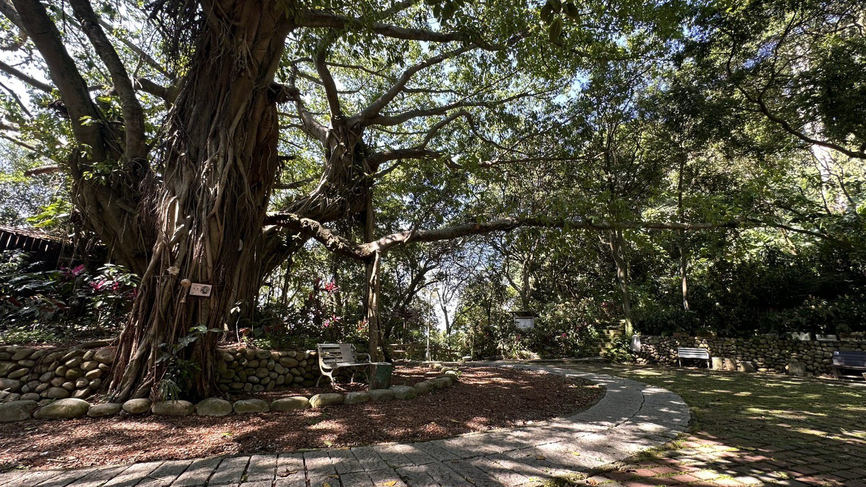 新北邀您山林靜心　百年榕園梵唱音樂會6/14圓通寺療癒登場