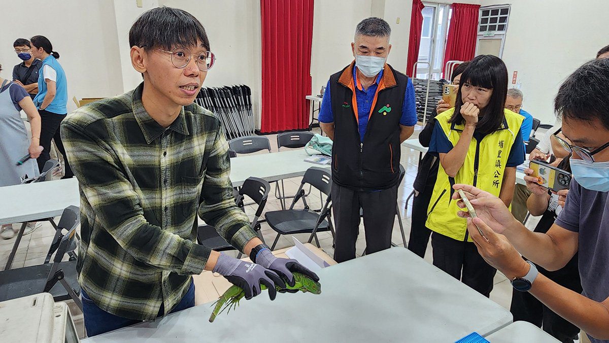 綠鬣蜥入侵南投7鄉鎮　縣府籲1999通報勿棄養