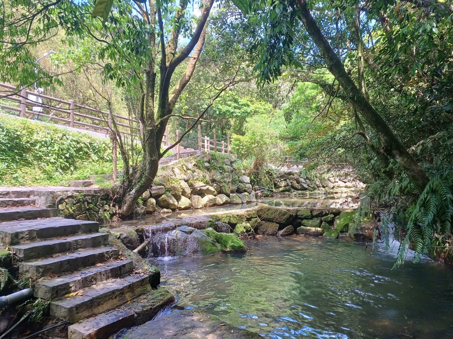 山林花海間的慢時光　北投湖田繡球花季浪漫綻放