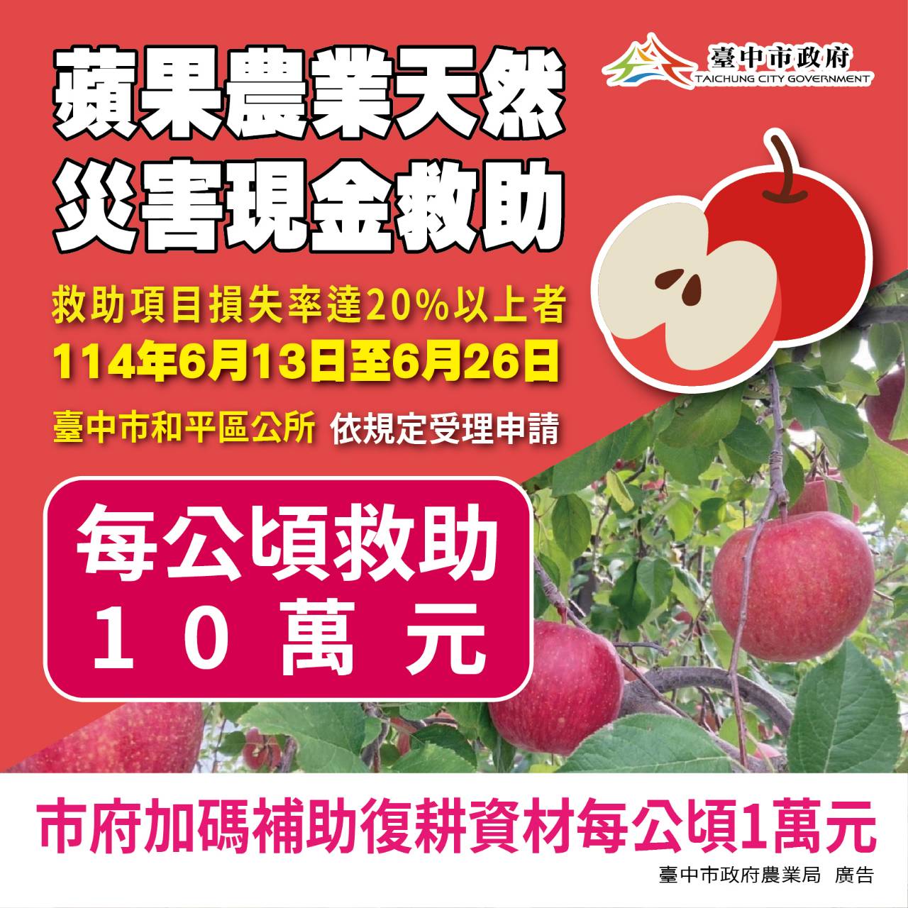 中市和平區蘋果災損  6/26前可申請現金救助 中市和平區蘋果災損  6/26前可申請現金救助