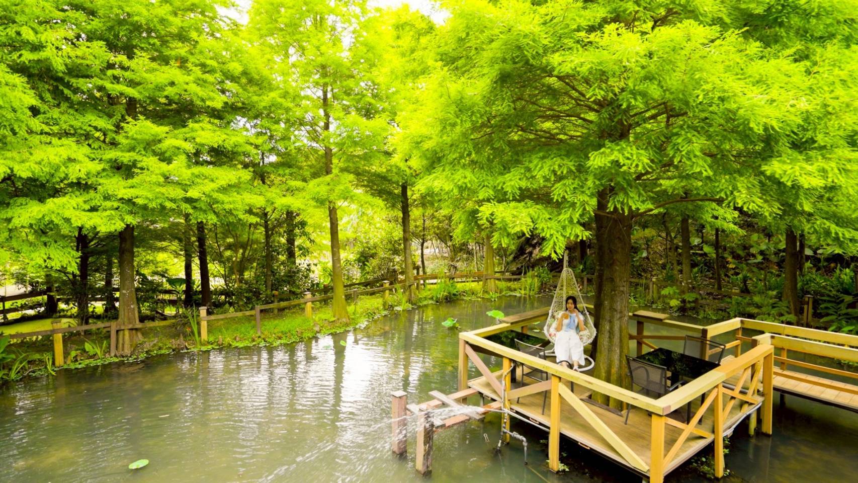 蘆竹農遊季熱鬧開跑 三大主題路線邀您走入山林體驗生態之美