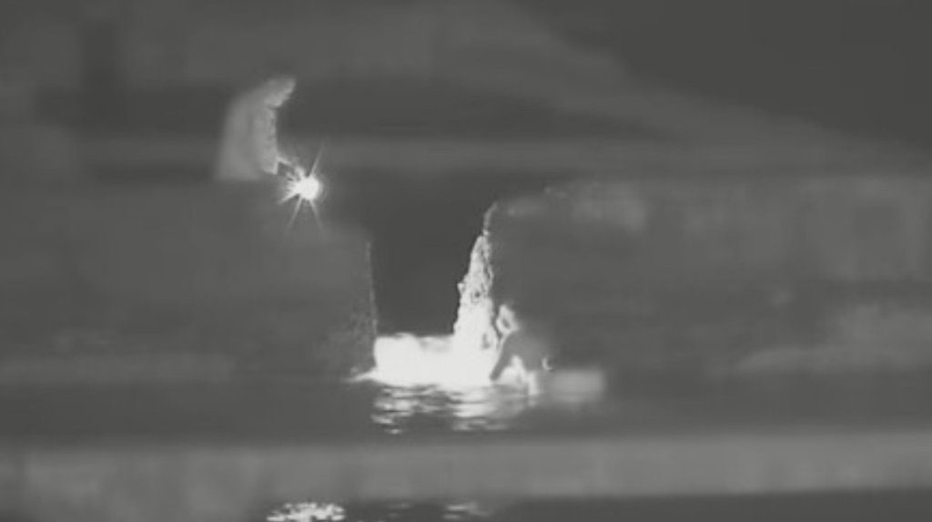 「金馬影帝變海賊王」？李康生闖九孔池撿海膽　行竊畫面曝光