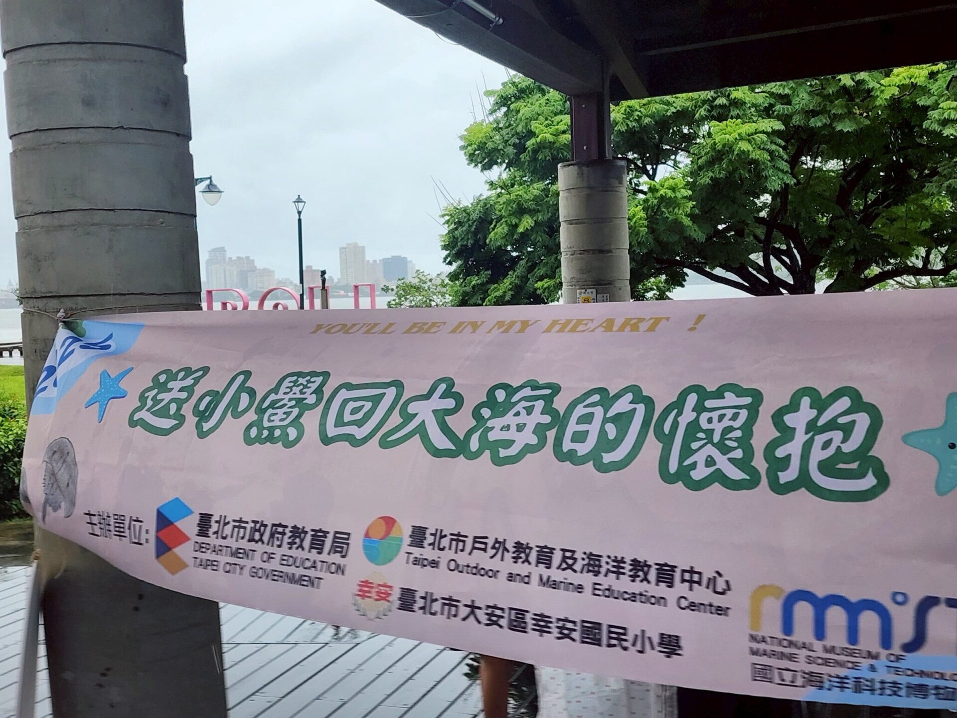 千隻鱟寶寶回家了!北市40校學子用行動守護海洋生態 千隻鱟寶寶回家了!北市40校學子用行動守護海洋生態