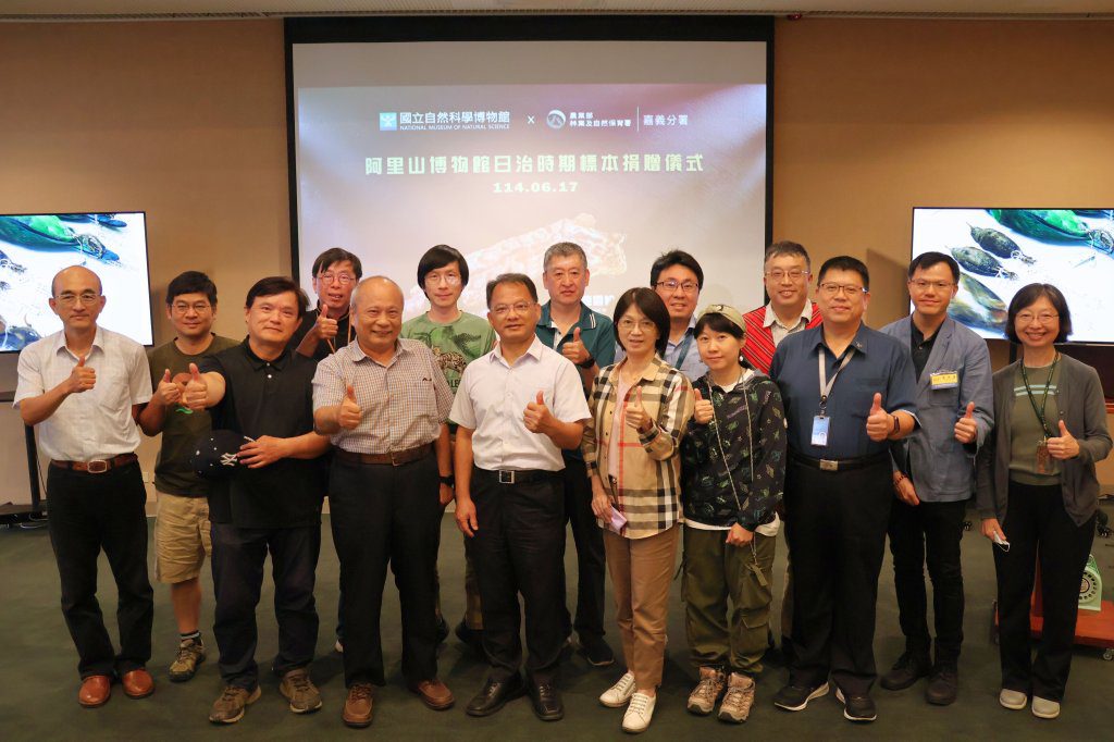 林業保育署嘉義分署捐贈珍稀標本 全臺第二隻具文獻臺灣雲豹入藏科博館