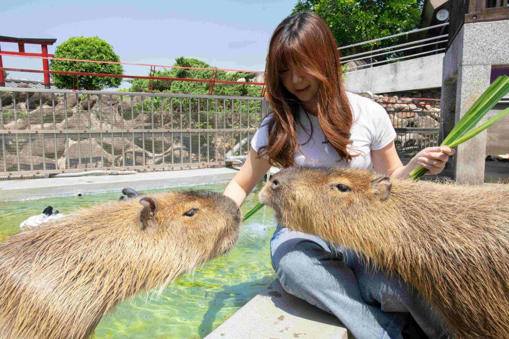 2025台灣最美飯店！暑假一泊三食每人不到2100元