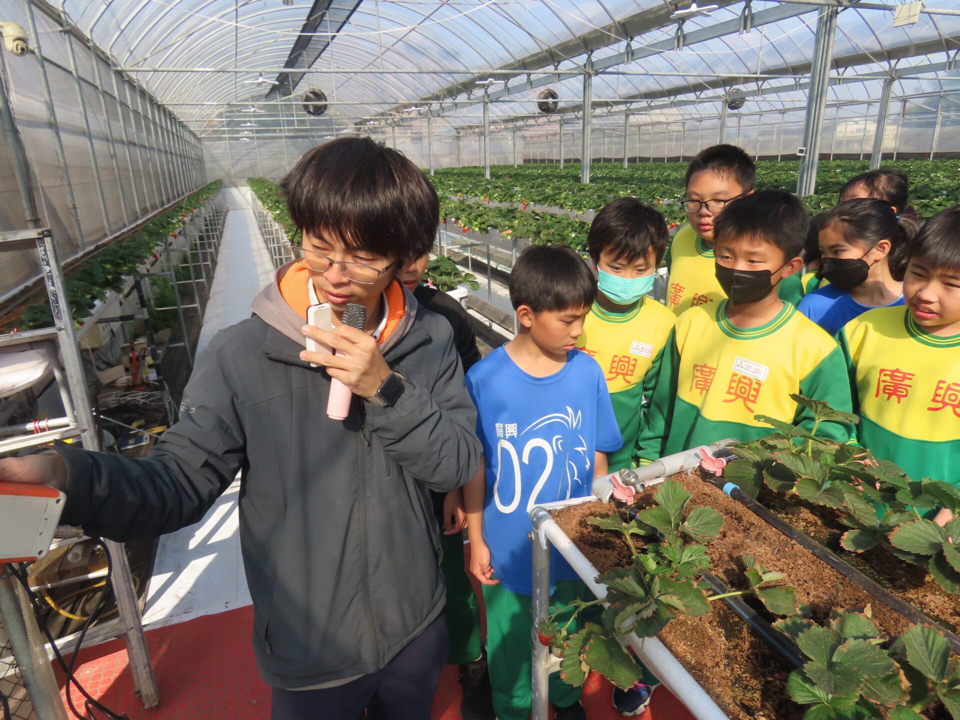 草莓園也能當教室!廣興國小結合青農打造在地特色課程 草莓園也能當教室!廣興國小結合青農打造在地特色課程