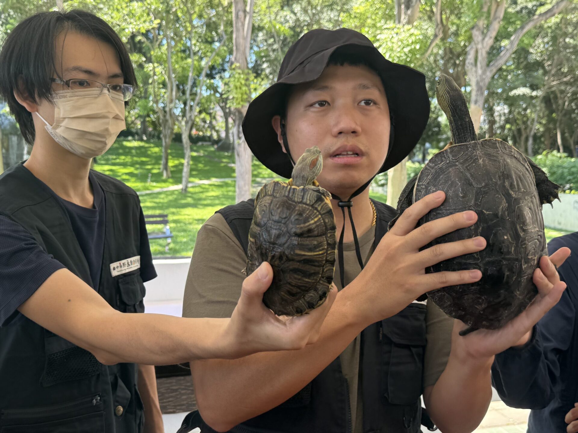 守護原生生態提升保育行動力! 中市建設局辦「斑龜辨識教育訓練」 守護原生生態提升保育行動力! 中市建設局辦「斑龜辨識教育訓練」