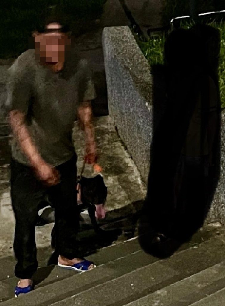 花蓮比特犬未戴嘴套闖禍! 貴賓狗被咬肚破腸流慘死 花蓮比特犬未戴嘴套闖禍! 貴賓狗被咬肚破腸流慘死