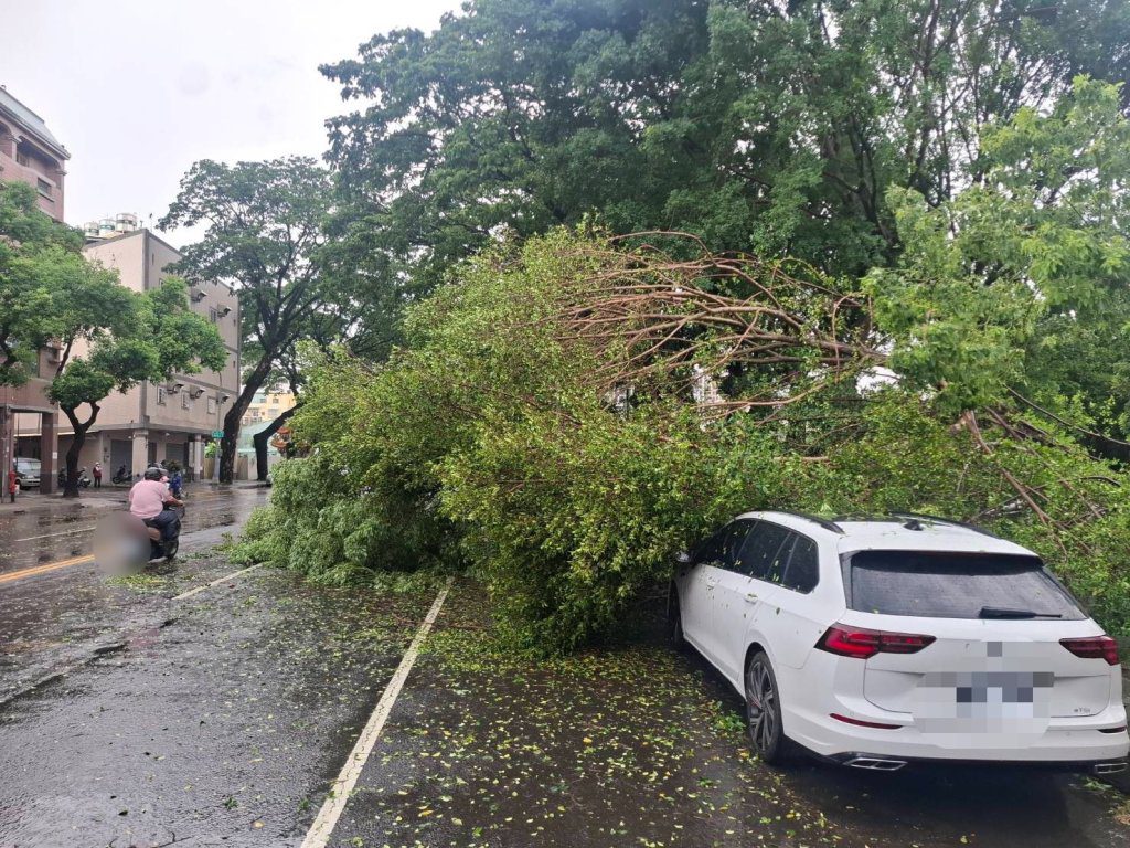 快訊／險成兇器！高雄楠梓路樹倒塌「白車慘遭重砸」