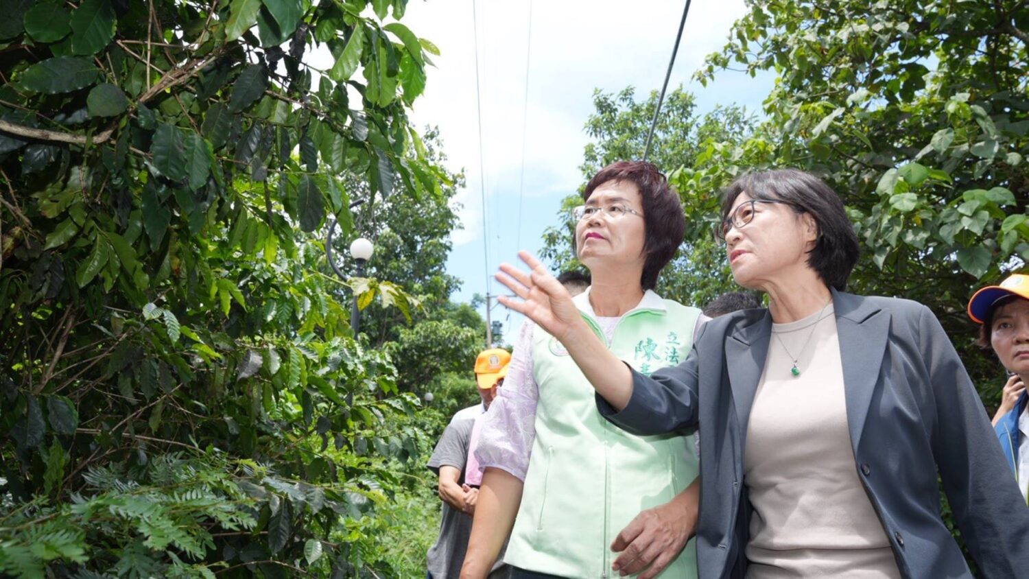 「疣胸琉璃蟻」蟲蟲危機 立委陳素月促跨部會聯手防治 「疣胸琉璃蟻」蟲蟲危機 立委陳素月促跨部會聯手防治