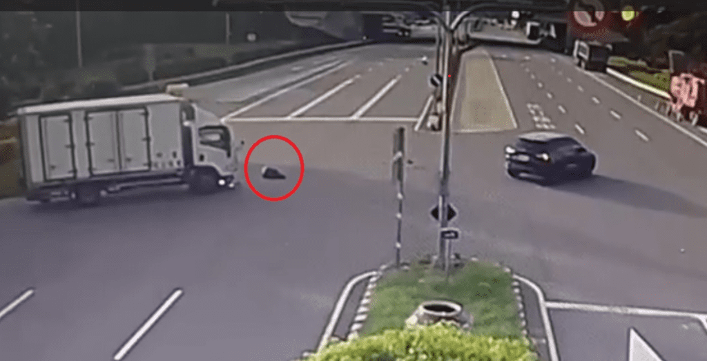 苗栗73歲阿嬤騎車闖紅燈! 遭小貨車撞倒多處擦挫傷 苗栗73歲阿嬤騎車闖紅燈! 遭小貨車撞倒多處擦挫傷