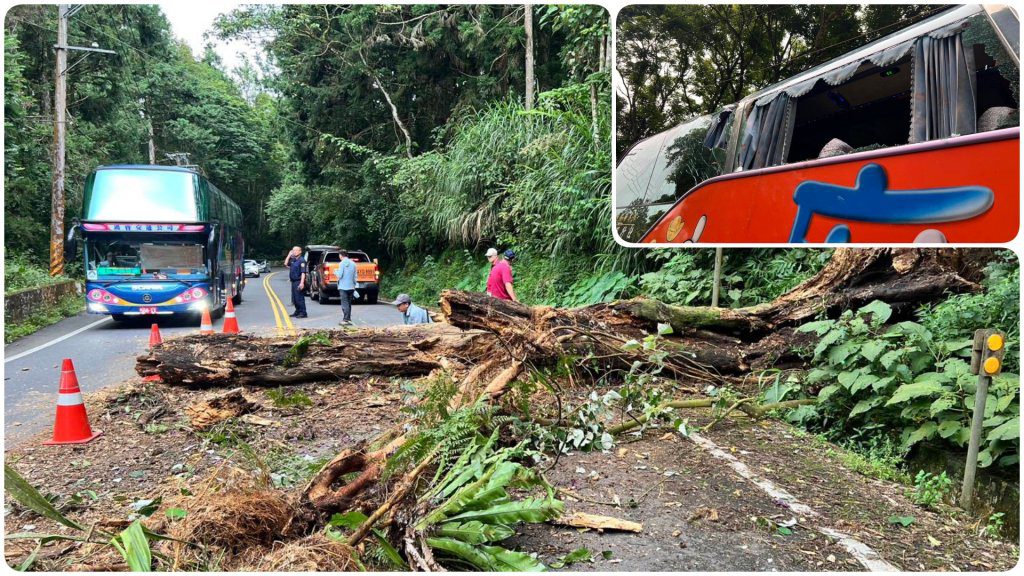 溪頭巨樹倒塌擊中遊覽車  3民眾遭玻璃割傷