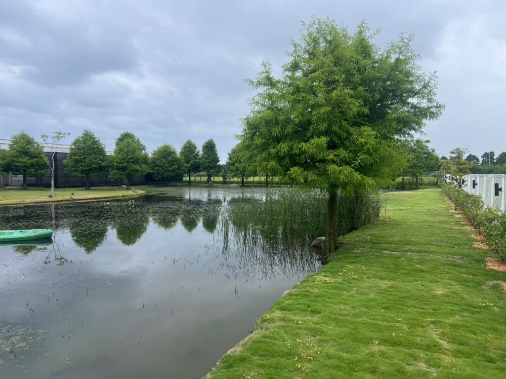 超夢幻！　台中警犬榮退1200坪新家有如渡假村