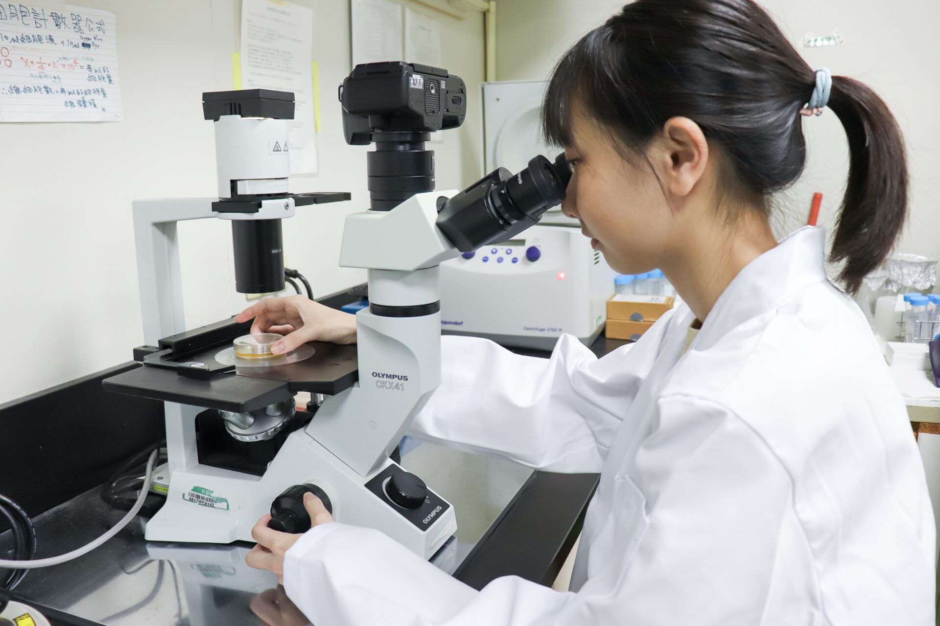 長庚大學團隊建立再生醫療新方向 客製化細胞修護兔子視力 長庚大學團隊建立再生醫療新方向 客製化細胞修護兔子視力