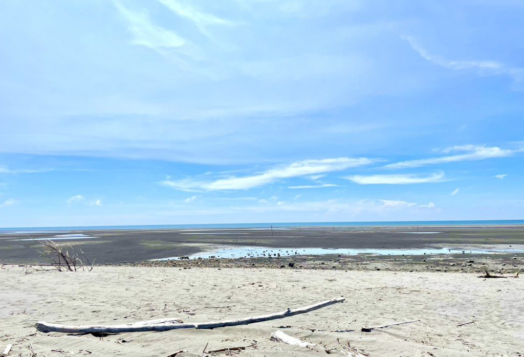 台中海洋觀光季首發登場~7/6「木語·流光」漂流木×草月流花道展開啟自然藝術饗宴! 台中海洋觀光季首發登場~7/6「木語·流光」漂流木×草月流花道展開啟自然藝術饗宴!