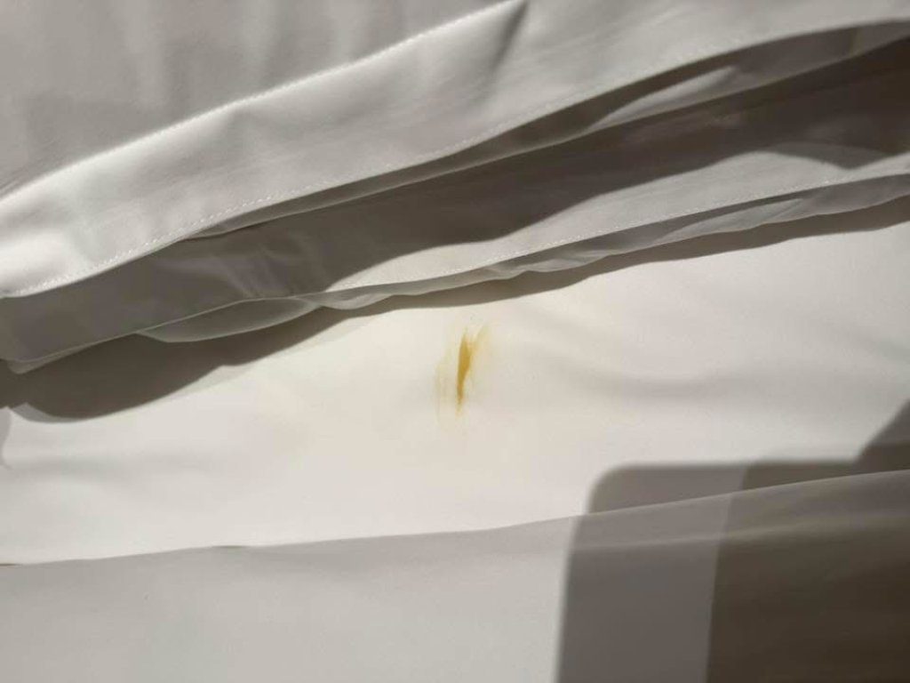 超噁！花5萬住高雄萬豪換「大驚嚇」 床墊現屎痕、散惡臭