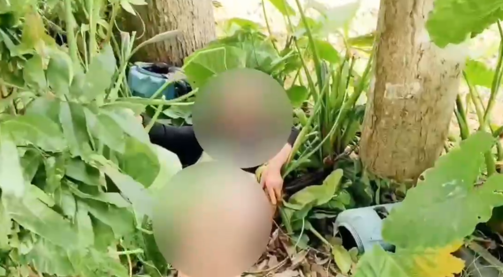 驚險!嘉義90歲老婦失蹤37小時被尋獲 昏迷草叢內身上滿佈蒼蠅 驚險!嘉義90歲老婦失蹤37小時被尋獲 昏迷草叢內身上滿佈蒼蠅