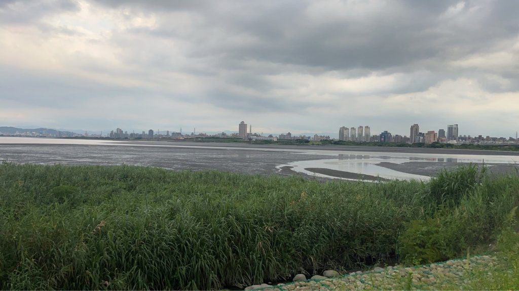 外籍移工微風運河抓螃蟹想加菜 驚見6旬翁陳屍濕地爛泥中 外籍移工微風運河抓螃蟹想加菜 驚見6旬翁陳屍濕地爛泥中