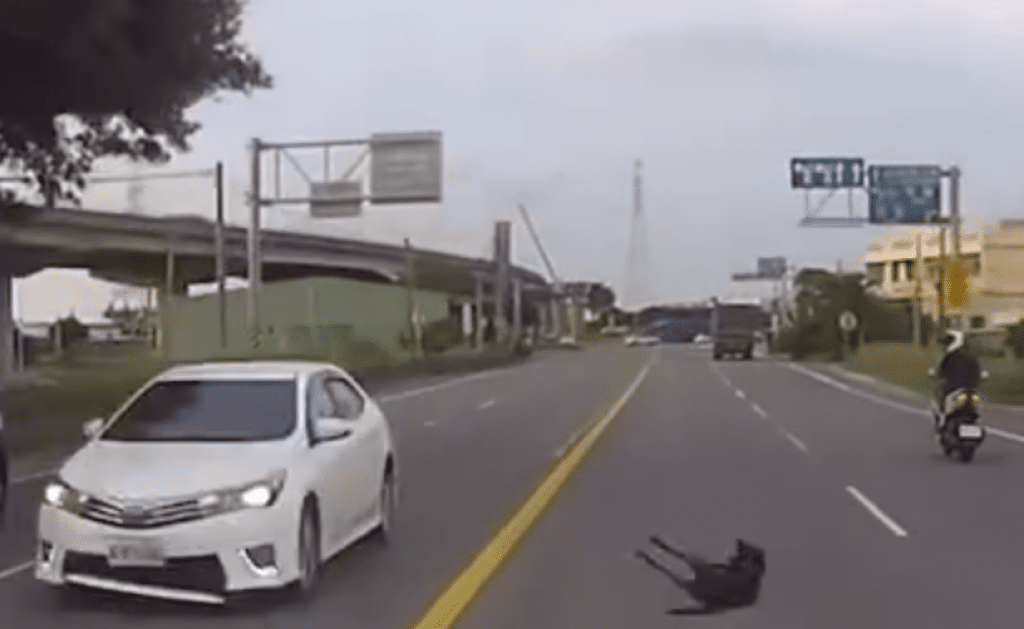 撞擊畫面曝光! 台中黑狗路邊竄出連遭兩車撞擊 撞擊畫面曝光! 台中黑狗路邊竄出連遭兩車撞擊