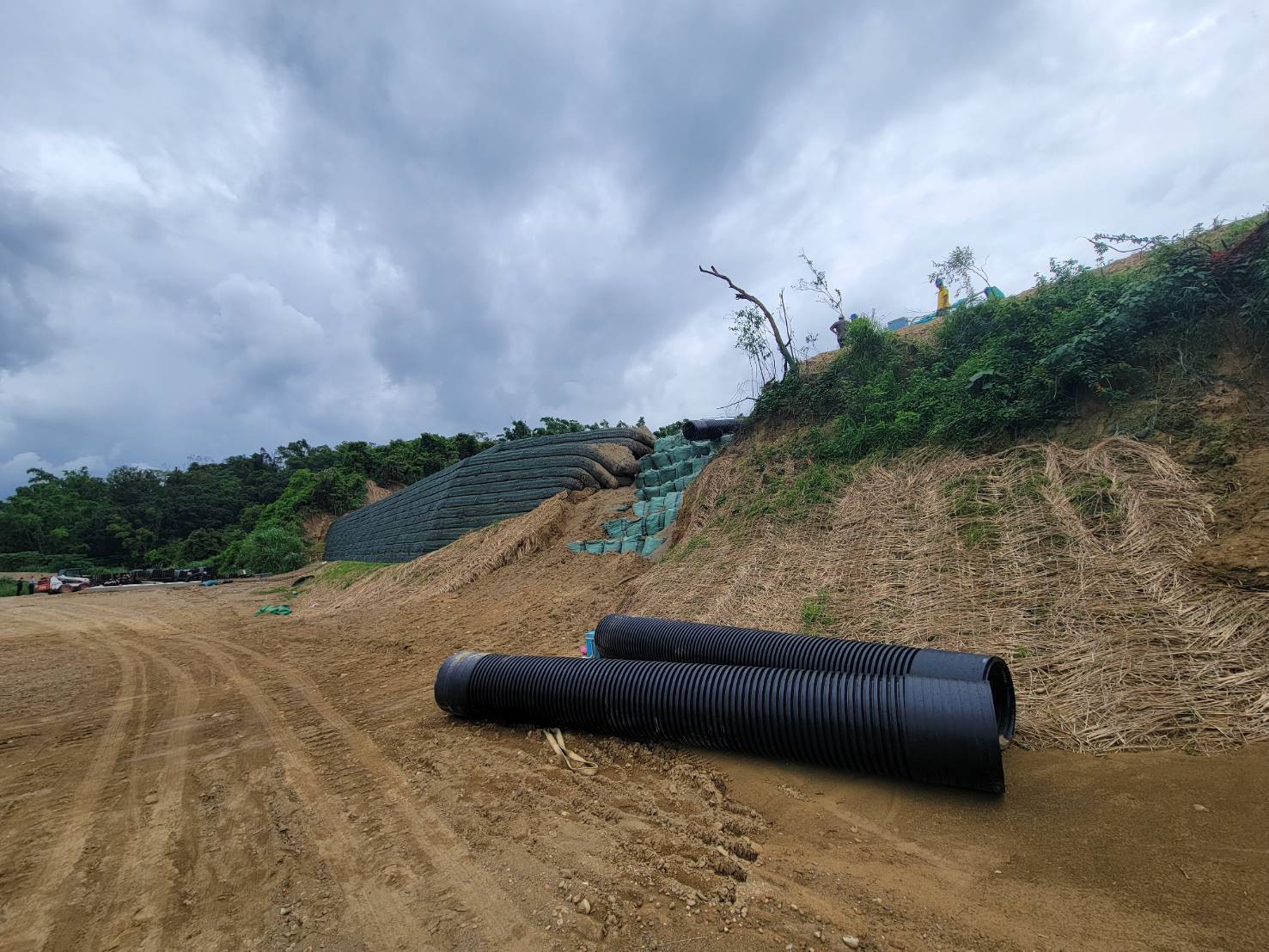 「大樹和山光電案」高市府函請中央廢止籌設許可、施工許可及恢復原土地使用 「大樹和山光電案」高市府函請中央廢止籌設許可、施工許可及恢復原土地使用