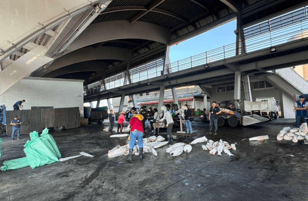 屏東船長宰殺海豚誘捕鯊魚　加拿大空拍「全都錄」船長遭起訴