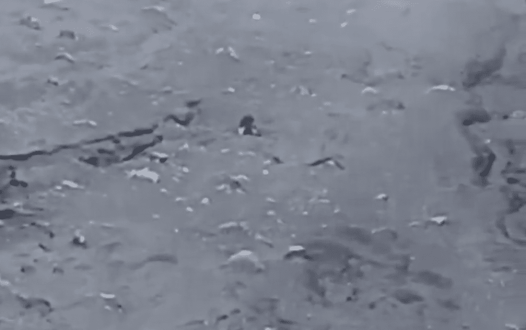 影／遊客跌落印尼火山！墜600公尺求救影片瘋傳　受困4天尋獲已身亡