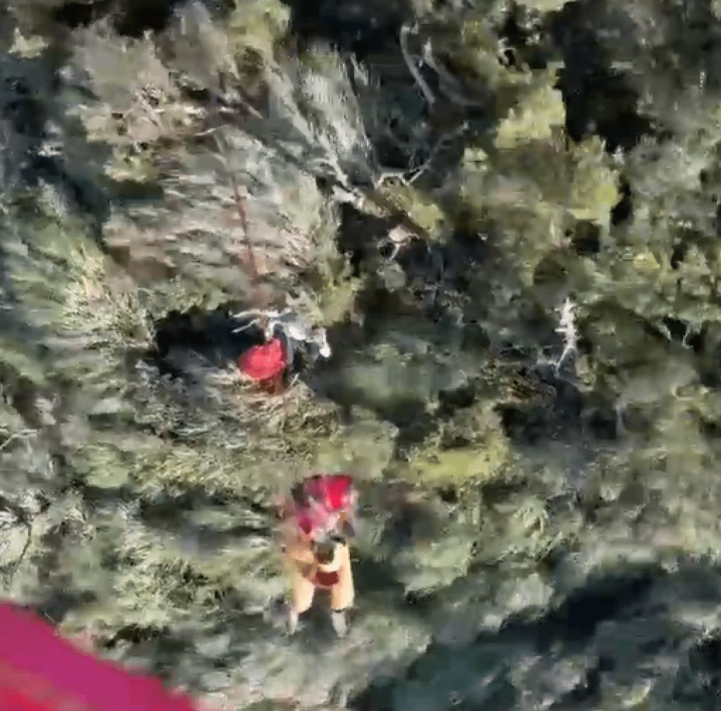 有片/好忙!搜救隊救援男獨攀彎刀縱走缺水求救 再發現6旬婦摔落北大武山邊坡 有片/好忙!搜救隊救援男獨攀彎刀縱走缺水求救 再發現6旬婦摔落北大武山邊坡