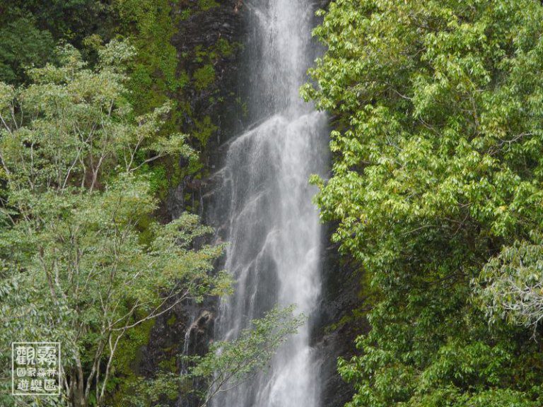 解鎖觀霧森林路 「雲霧中的命定之道」首度登場 解鎖觀霧森林路 「雲霧中的命定之道」首度登場
