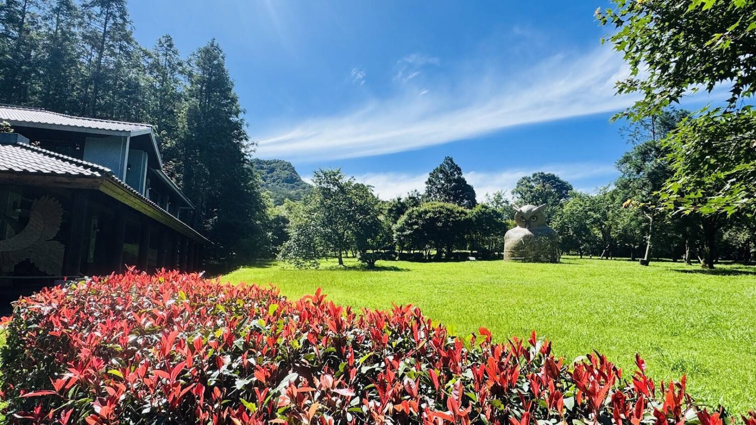 避暑踏青旅遊 奧萬大週年慶入園銅板價10元 避暑踏青旅遊 奧萬大週年慶入園銅板價10元