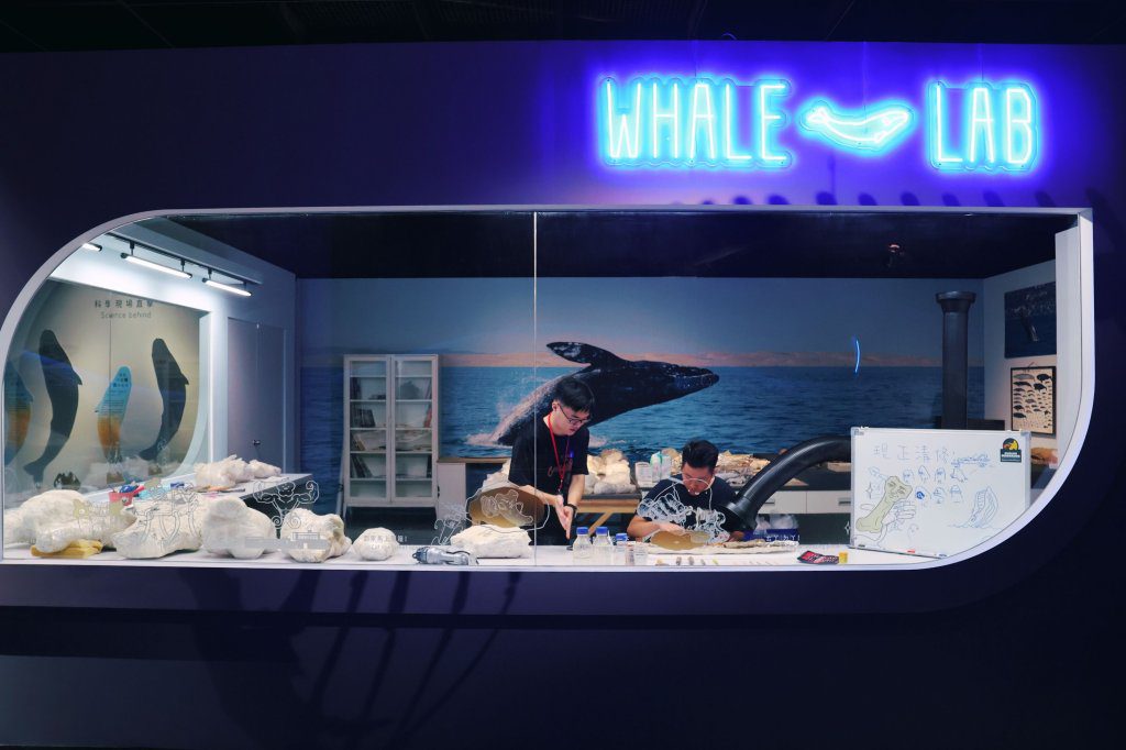 一窺清修中的巨大鬚鯨化石  科博館《鯨掘》揭開臺灣鯨豚的萬年記憶