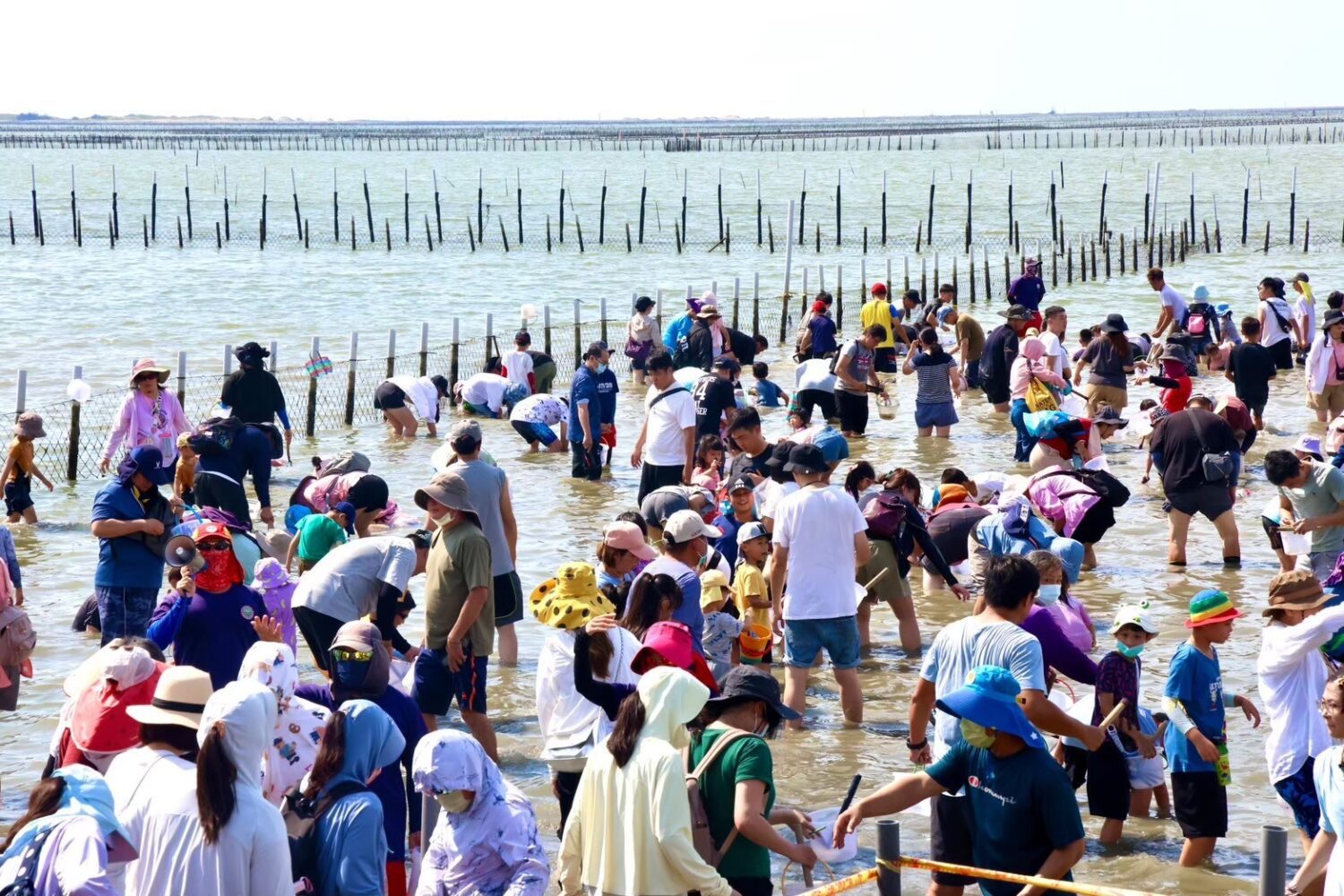 「2025臺南七股海鮮節」優惠好康報你知