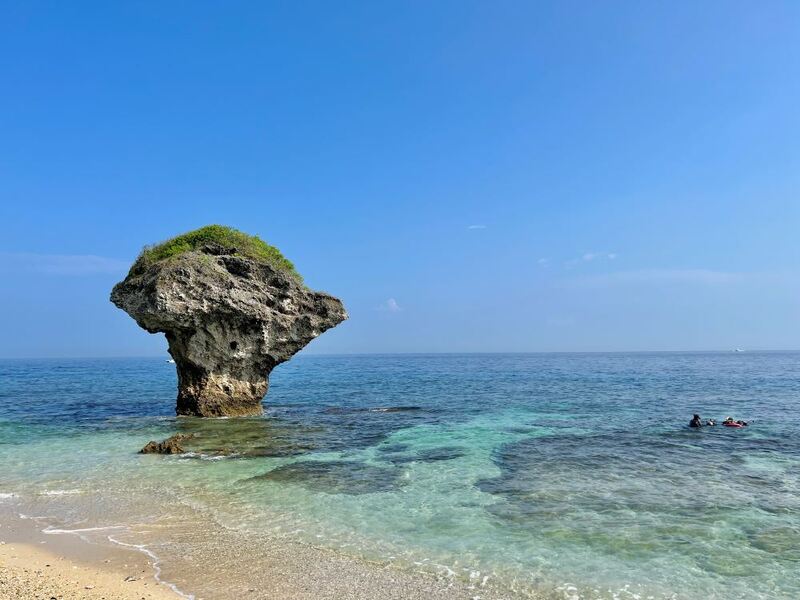 傳統文化變好玩！屏東黑鮪魚季掀起數位集章熱潮