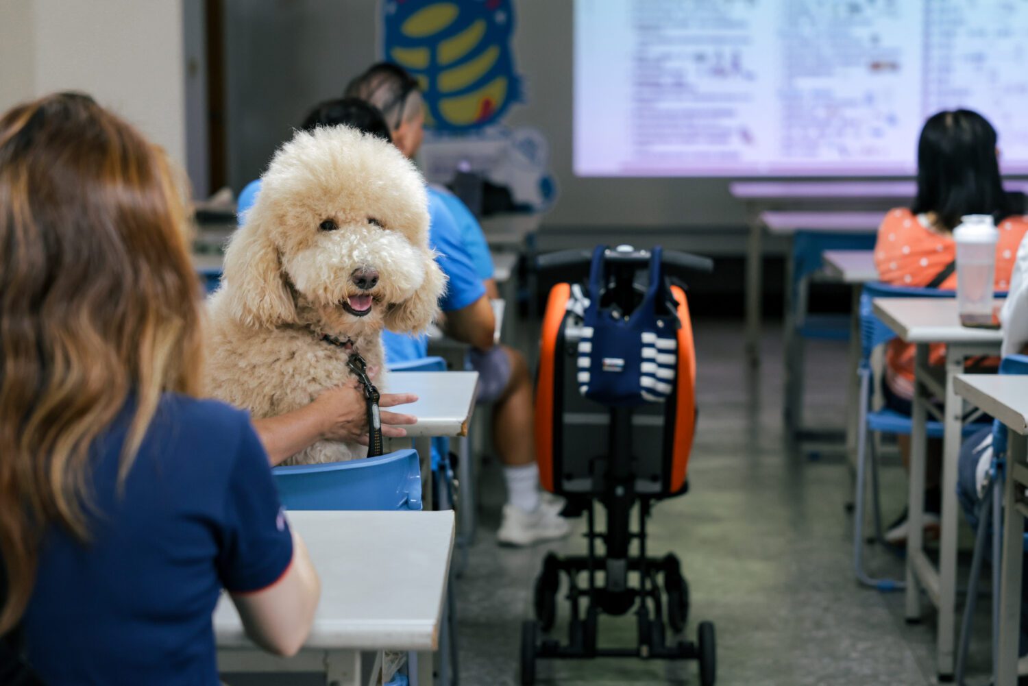 高市動保處推「寵物血糖健康推廣計畫」守護毛寶貝健康 「愛牠！就要避免甜蜜危機上身」
