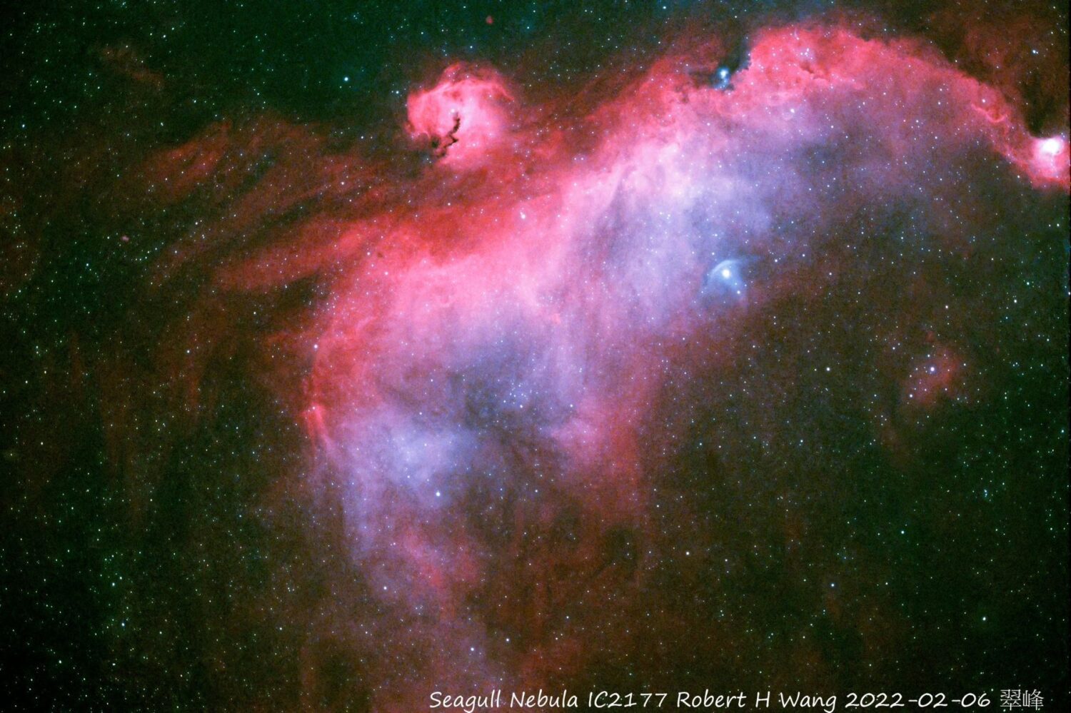 全臺首創！ 高山暗空、觀光農場導覽聯盟7/1啟動